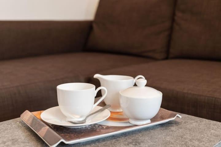 Apartment Vanek *