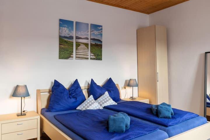 Apartment Vanek *