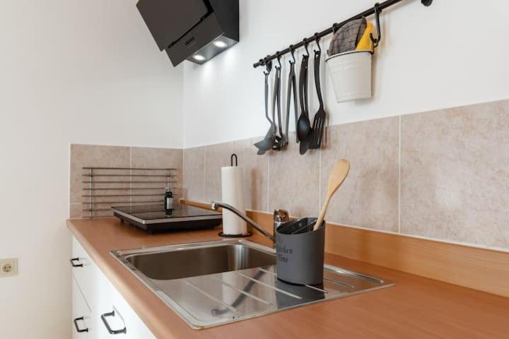 Apartment Vanek